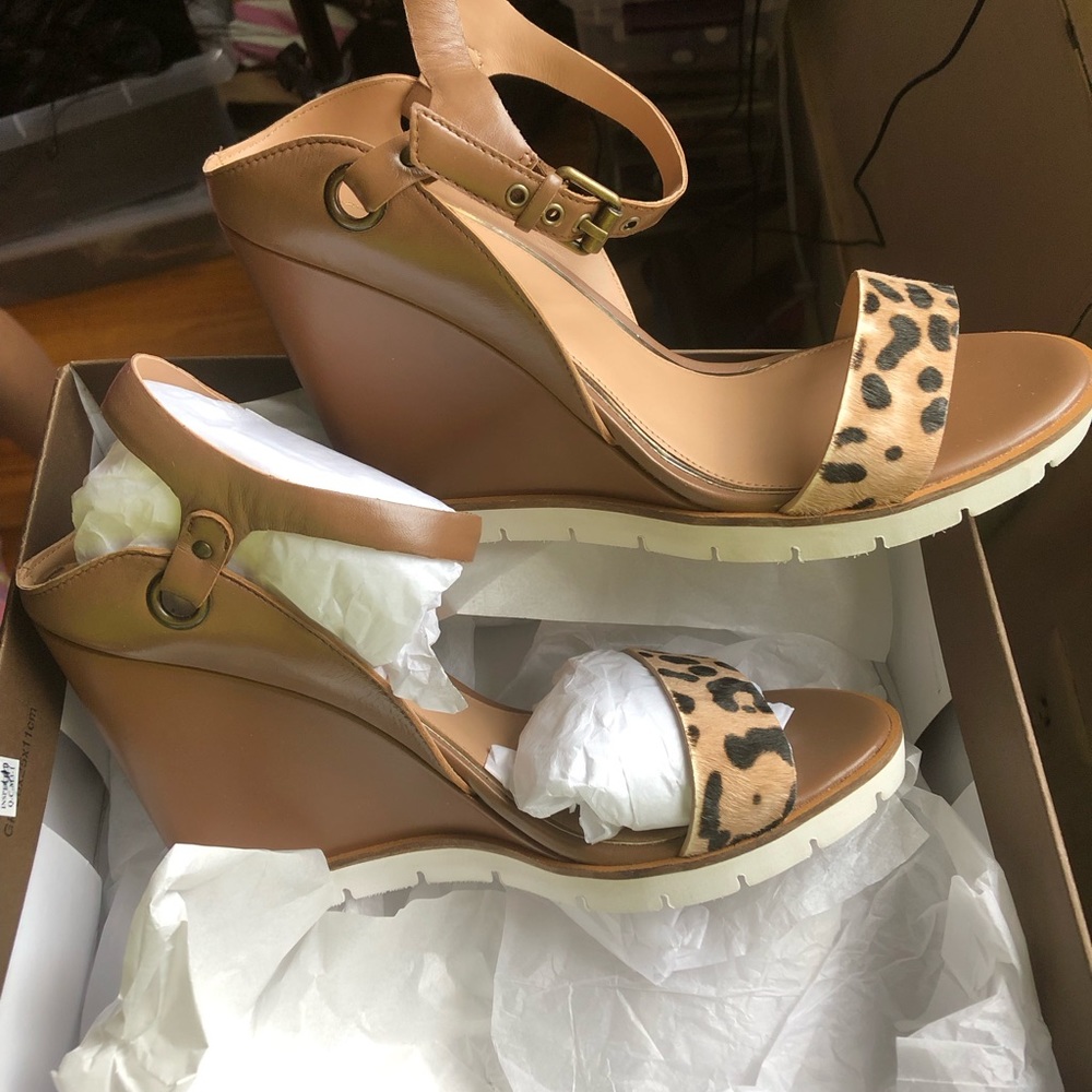Brand new in box, brand is called paolo and it’s size 10
